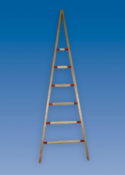 Pointer Ladder Wooden Window Cleaners Pointer | Hulley Ladders